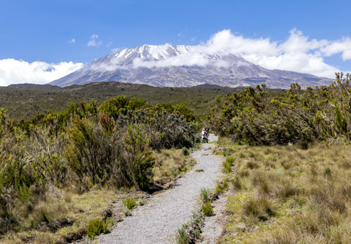 Kilimanjaro Trail